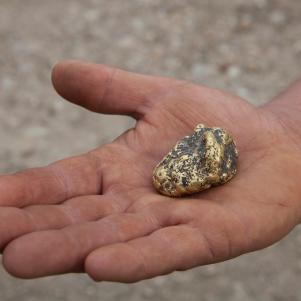 Gold nugget in hands.