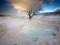 Mammoth Hot Springs, Yellowstone National Park, Wyoming