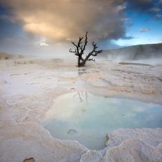 Mammoth Hot Springs, Yellowstone National Park, Wyoming