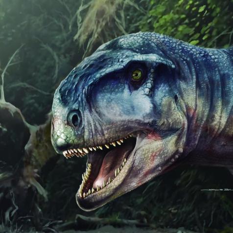 Jorge Blanco's artist impression of Llukalkan aliocranianus
