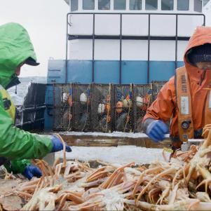 Cornelia Marie crew Taylor and Kristjan sorting crab at the table.