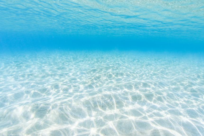 1309693447 Underwater. Pristine seawater. Eyre Peninsula. South Australia.