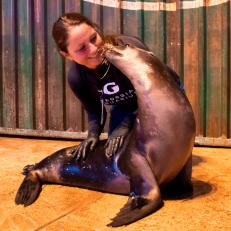 Scarlett wants to know - now that you’ve discovered all the ways Georgia Aquarium is showing kindness - how will you celebrate #WorldKindnessDay? 