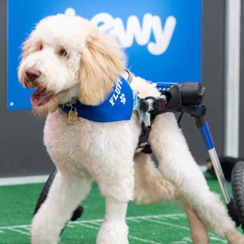 Benny on the field.