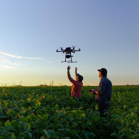 Drone no copyright in a soybean field,