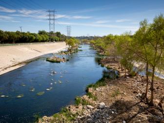 Further upstream the river becomes more trout friendly. This is an example of what a restored LA River might look like, with trees and pools for fish to hide in as they migrate up and downstream.