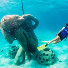 Natalie Miaoulis - Fisheries Specialist, The Nature Conservancy
