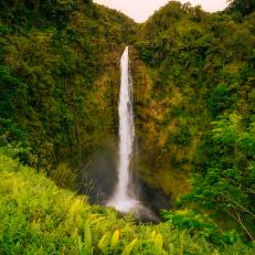 The 'Akaka falls are a 422 ft (135 m) tall waterfall and are the highlight of the Akaka falls state park. This park is located close to Hilo and a visit to the Akaka falls should be part of any road trip at the Hamakua coast.You can only see the falls after a pleasant and short 0.4-mile hike from the parking lot. This walk is called the  Akaka Falls Loop Trail. The pleasant 0.4-mile uphill hike will take you through a lush rainforest filled with wild orchids, bamboo groves and draping ferns.As you follow the paved footpath, you'll first see 100-foot Kahuna Falls, then Akaka Falls.