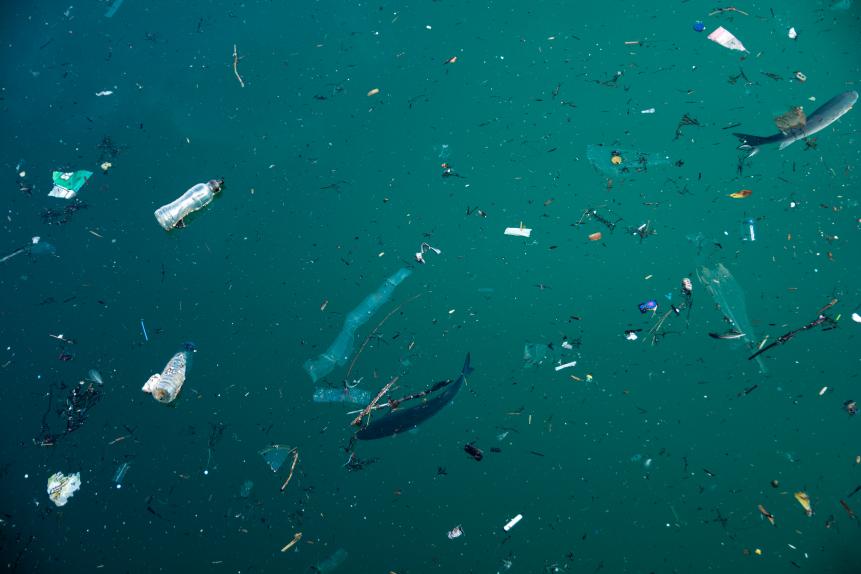 1208882099 Fish and plastic pollution in sea. Microplastics contaminate seafood. Animals in the sea cannot live.