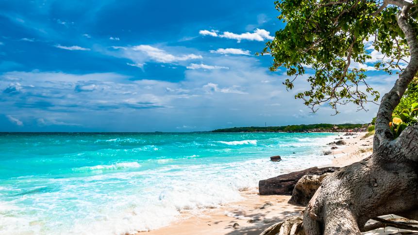 1369344248 View on paradise beach of playa blanca on Baru island next to Cartagena, Colombia. High quality photo