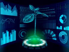 Forestation and tree growth are perhaps the most powerful tool for reducing levels of the greenhouse gas carbon dioxide (CO2) in Earth’s atmosphere and tackling climate change. Now genetically modified (GM) ‘supertrees’ that grow faster and rapidly take up CO2 could be used to address the climate crisis.