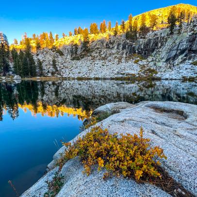 Year in Review: Nature in Focus Adventures
