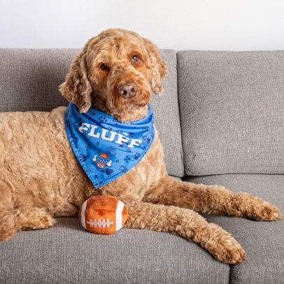 Shop Puppy Bowl Apparel